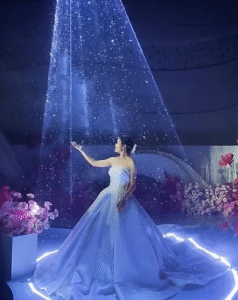 Laser Light for Wedding - 03